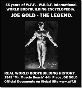 GOLD_joe_3m.jpg